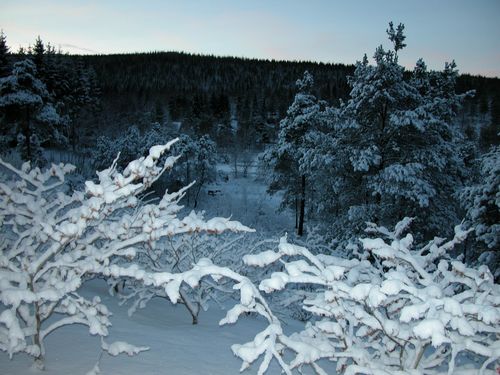 Vinterstemning med utsikt fra Trollhasselfeltet.
