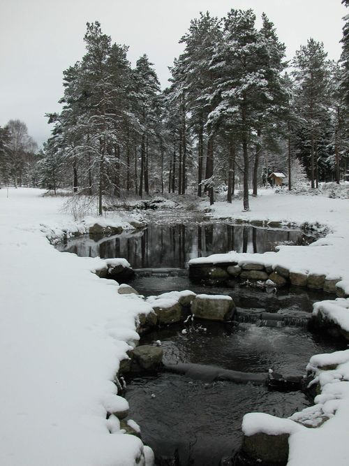 Arboretet kan by på fine opplevelser også vinterstid.