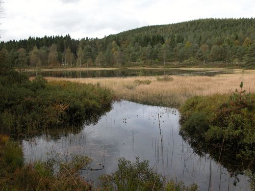 Naturherligheten ligger der, klar til å taes i bruk !