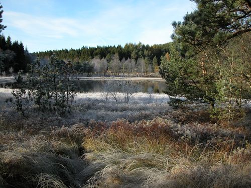 Utsikt mot sørvest, med Skittjørn og med Gløersens Minne i bakgrunnen