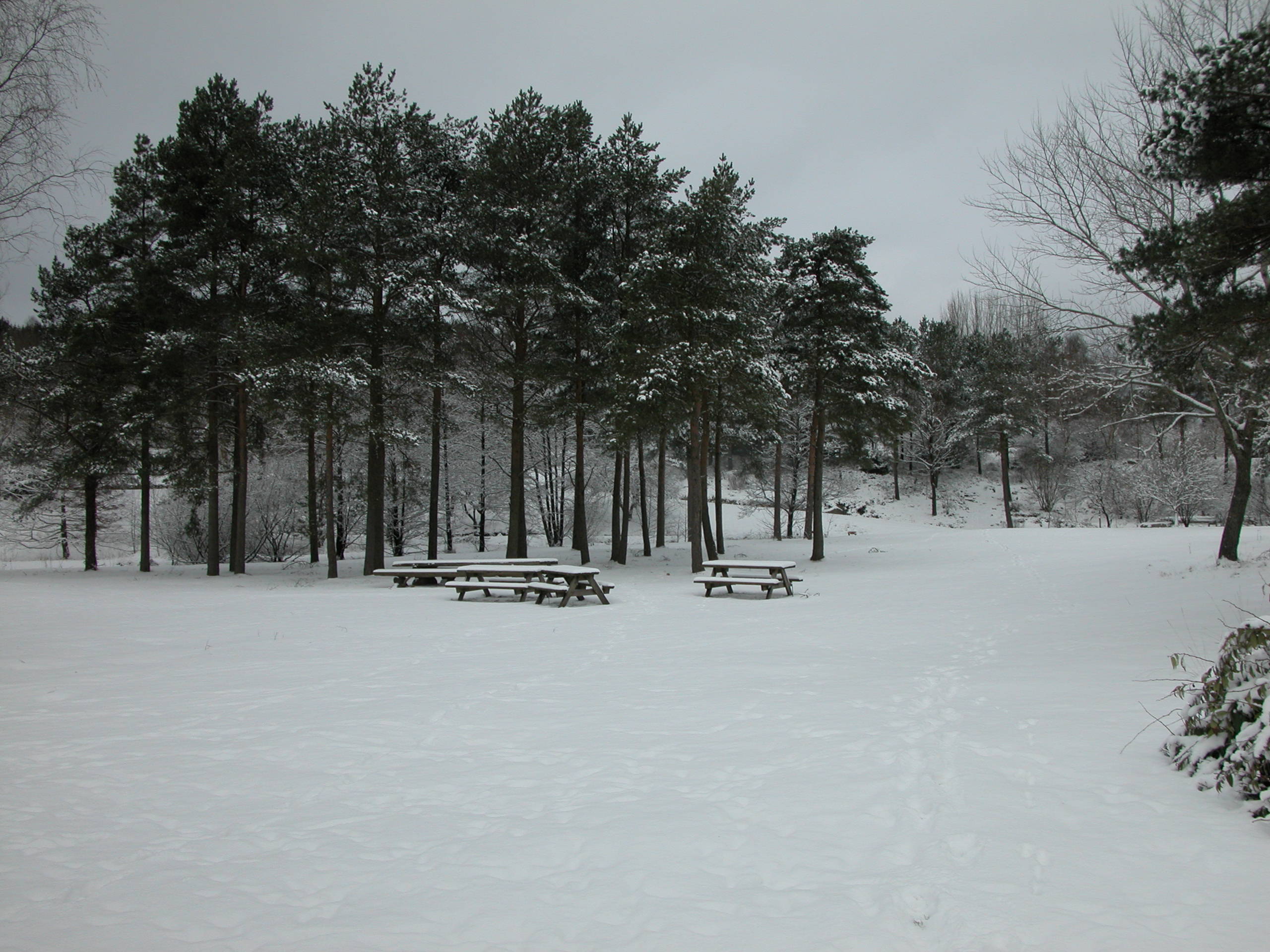 Stevneplassen nedenfor Aktivitetshuset en vinterdag. 