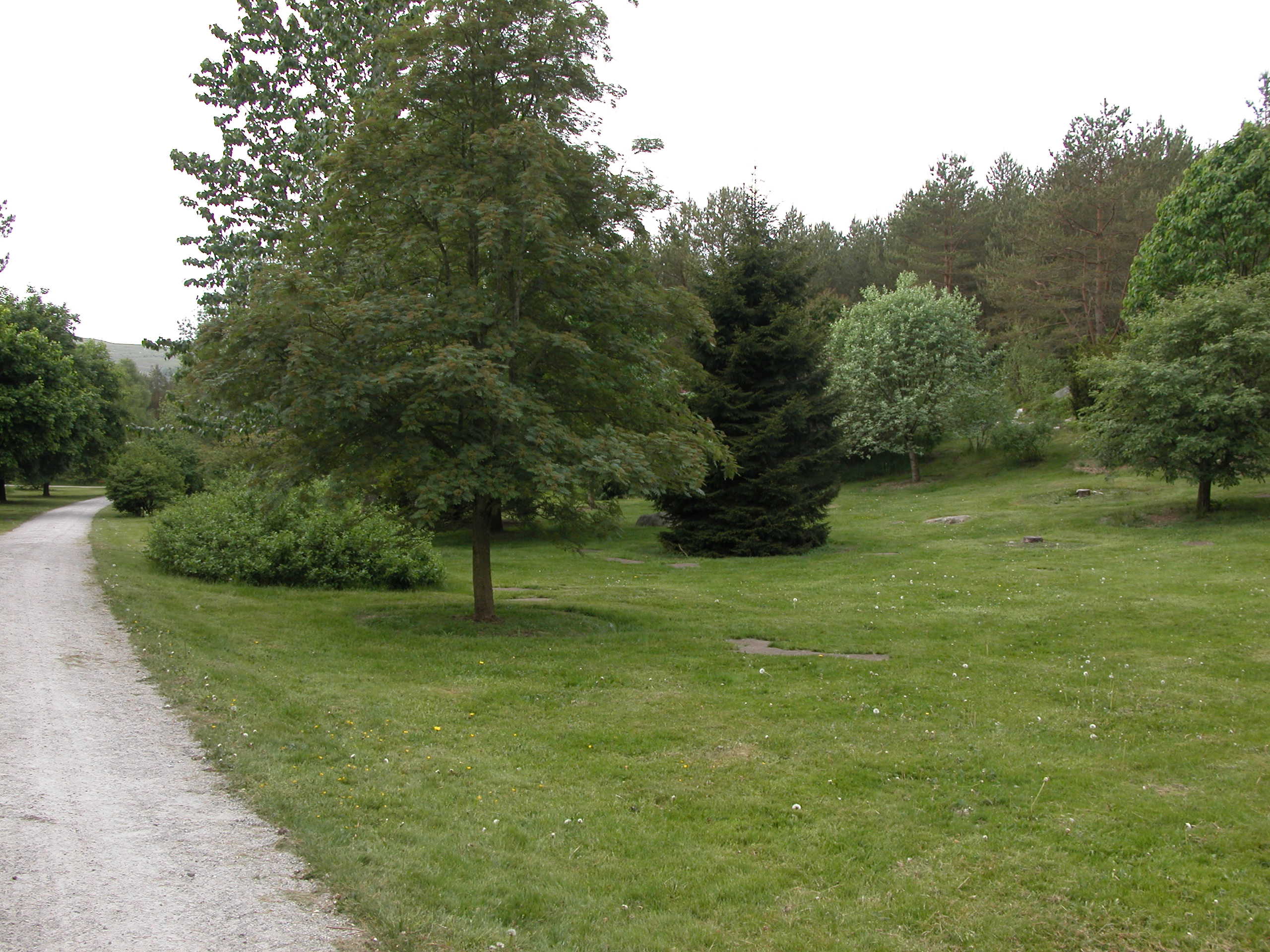 Parti fra Parken-området.